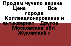 Продам чучело варана. › Цена ­ 15 000 - Все города Коллекционирование и антиквариат » Другое   . Московская обл.,Жуковский г.